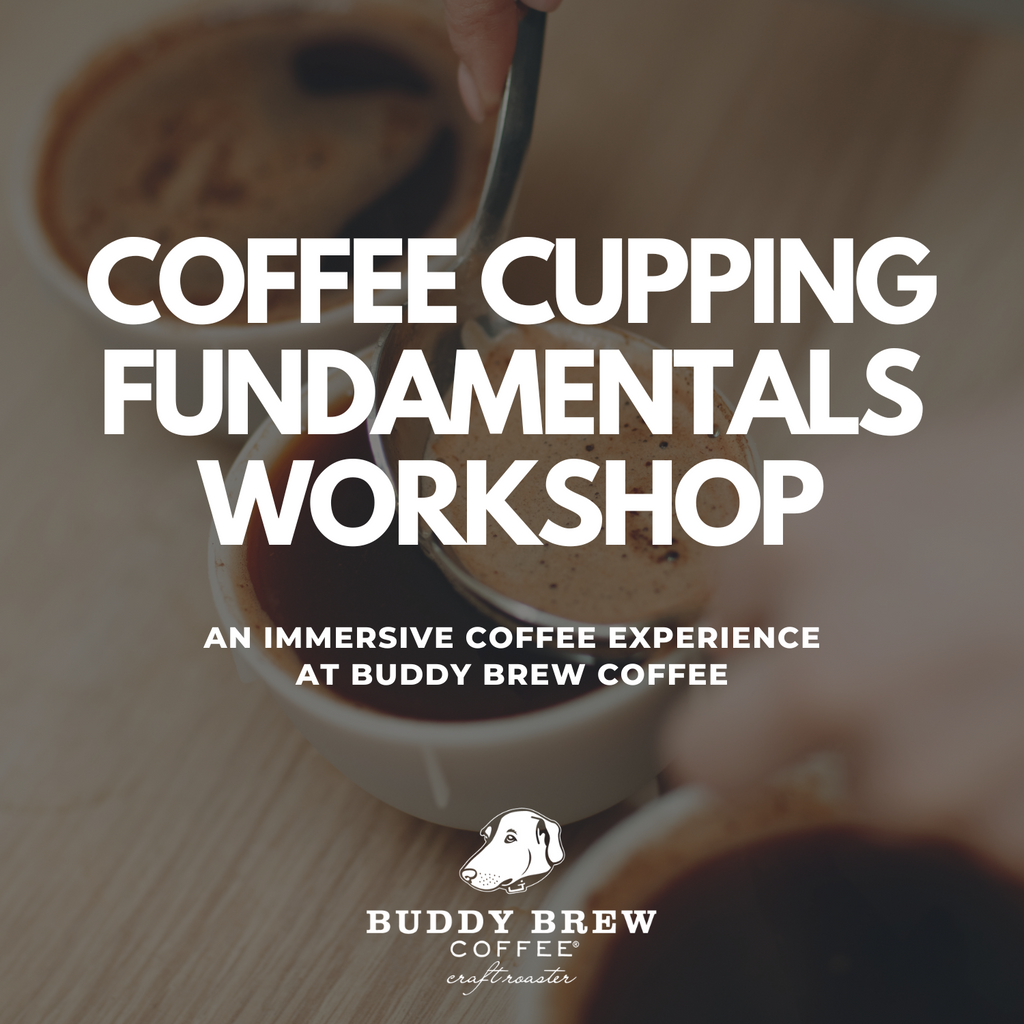 Coffee Workshop - Cupping Edition, Offered Monthly - April 5th