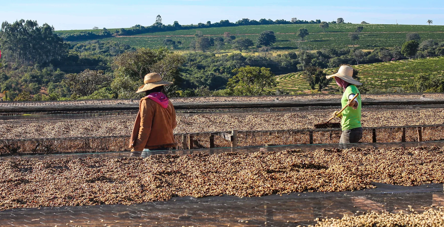 International Coffee Day: Meet Fazenda Terra Alta’s Paulo and Juliana!