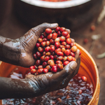 Burundi - Bumba Hill - Honey Process
