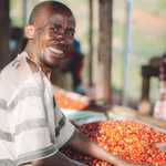 Burundi - Bumba Hill - Honey Process