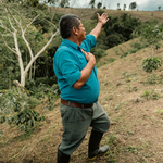 Colombia – Luis Felipe Leguizamo – Washed Process