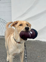 Buddy Brew Coffee Cup Dog Toy