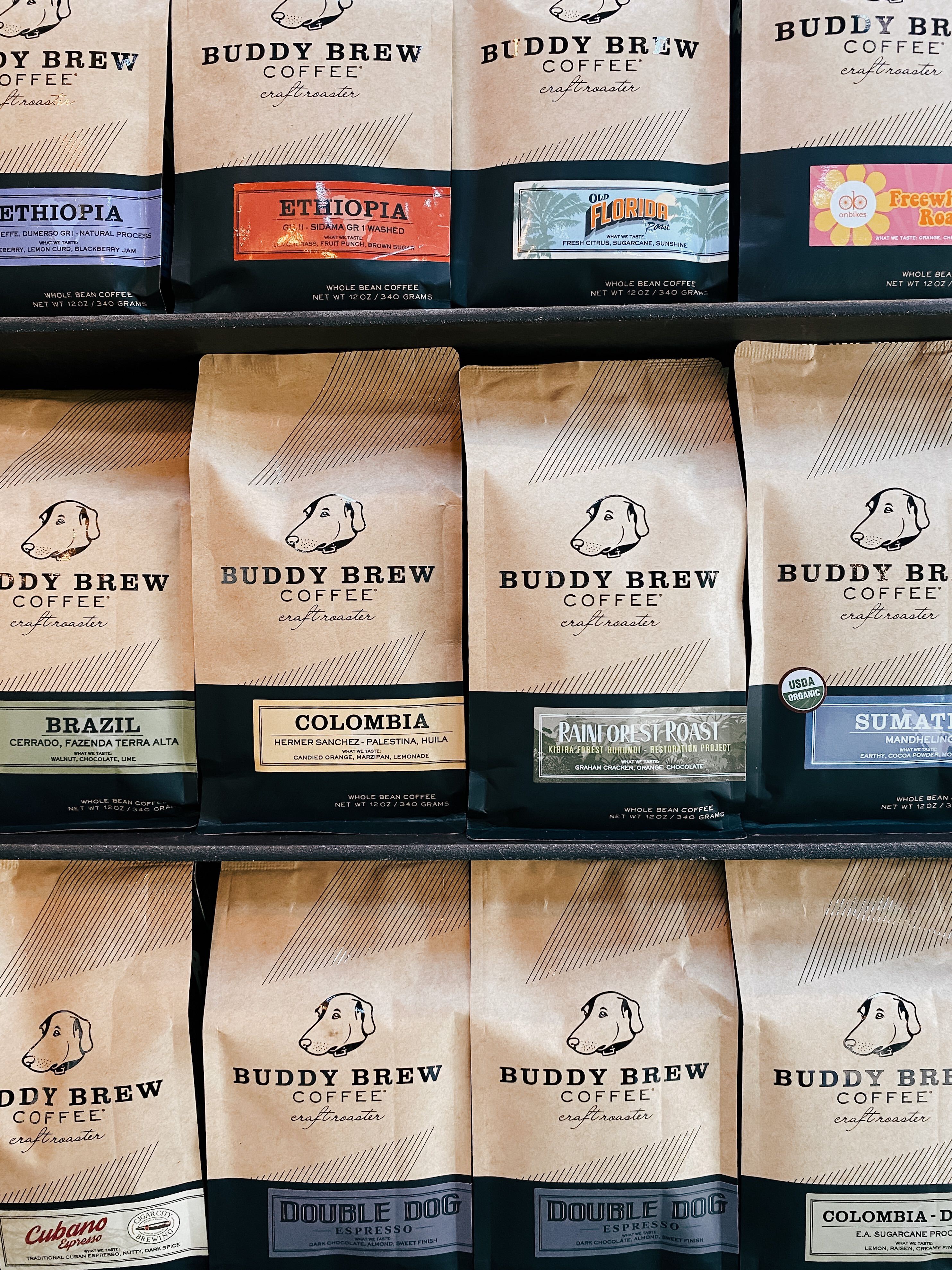 Coffee Club - 6 Month Delivery