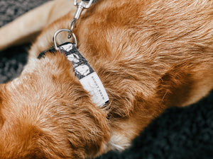 Dog Collar
