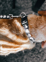 Dog Collar