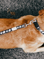 Dog Leash
