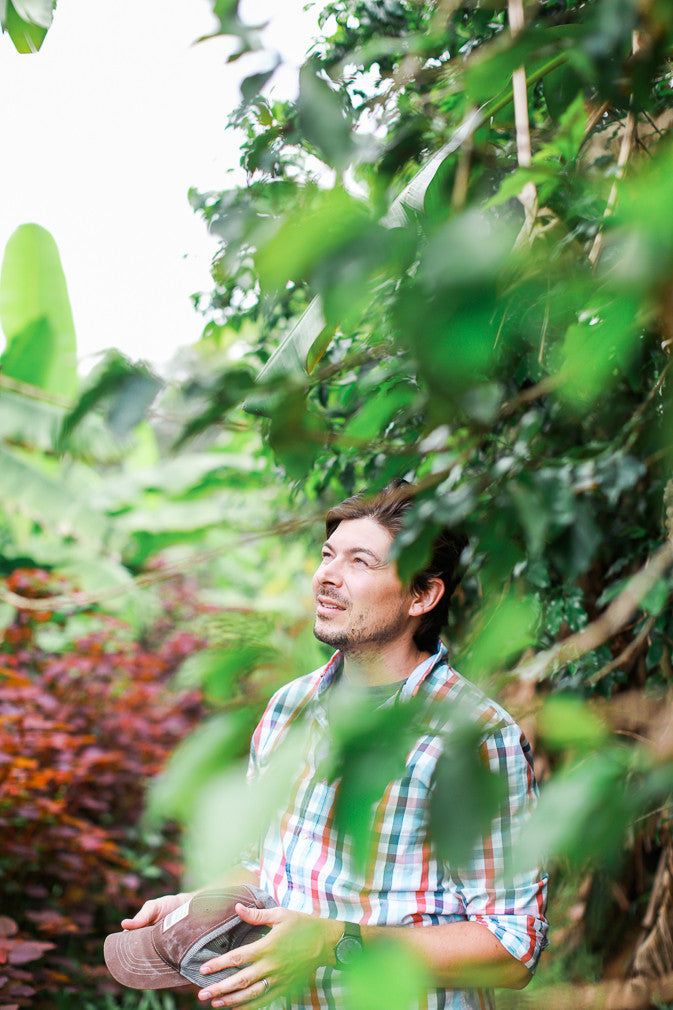 Rainforest Roast - Kibira Forest Reforestation Project