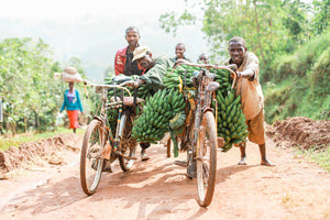 Rainforest Roast - Kibira Forest Reforestation Project