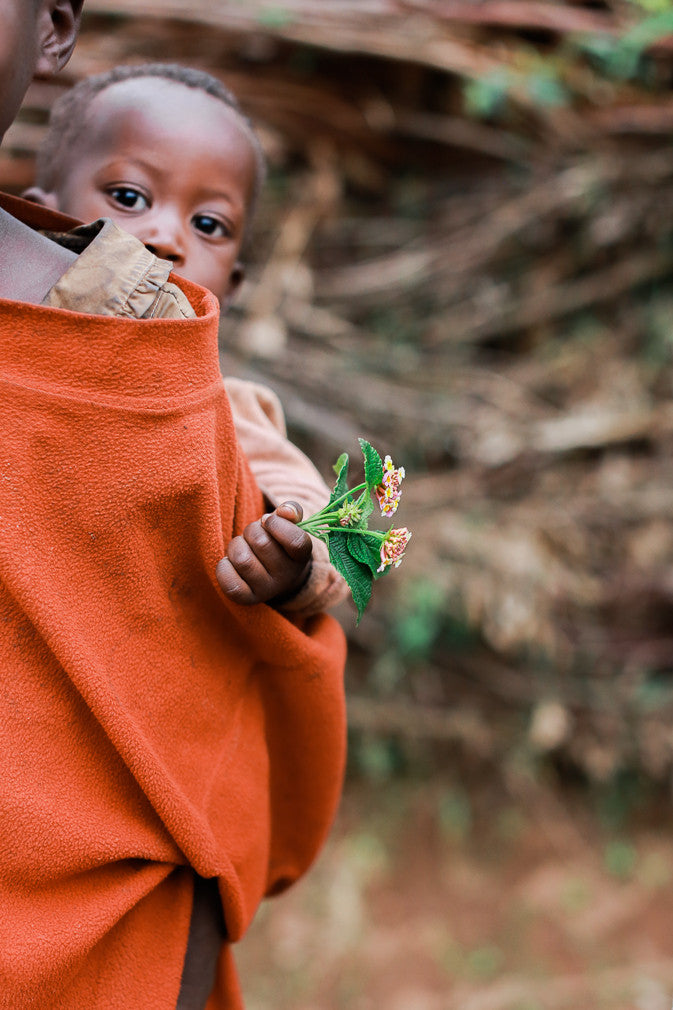 Rainforest Roast - Kibira Forest Reforestation Project